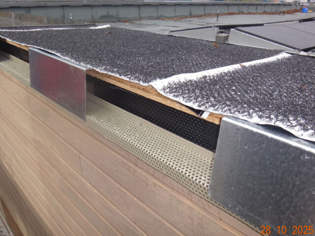 Tag 135_Diakonie Günzerode_Attikaausbildung_Holzfassade